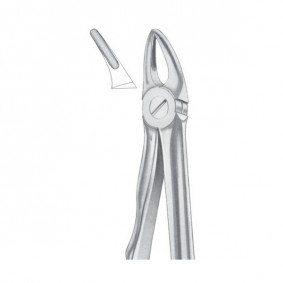 EXTRACTING FORCEPS 'ENGLISH PATTERN'